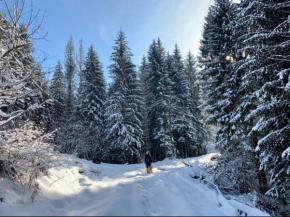 Jasna